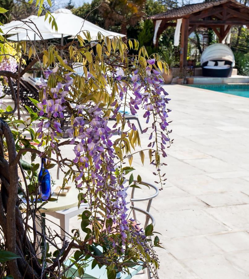 Bed and Breakfast Le Mas Shabanou Roquefort-les-Pins Exterior foto
